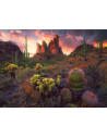 RVSPA01380,Ravensburger - Puzzle cactusi 500 piese