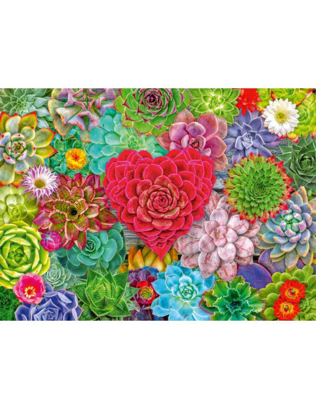 RVSPA01469,Ravensburger - Puzzle plante suculente 500 piese