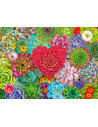 RVSPA01469,Ravensburger - Puzzle plante suculente 500 piese