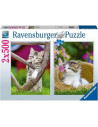 RVSPA00232,Ravensburger - Puzzle pisicute 2x500 piese