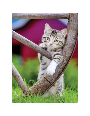 RVSPA00232,Ravensburger - Puzzle pisicute 2x500 piese
