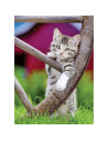 RVSPA00232,Ravensburger - Puzzle pisicute 2x500 piese
