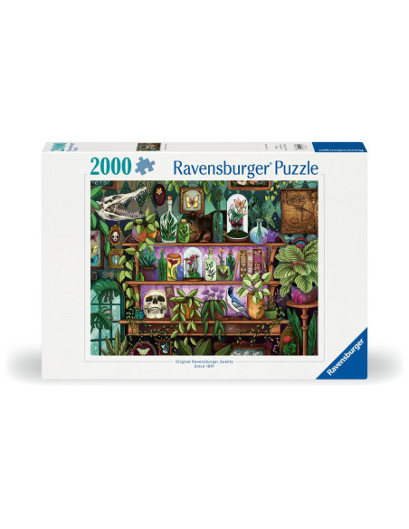 RVSPA01416,Ravensburger - Puzzle raftul vrajitoarei 2000 piese