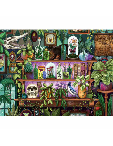RVSPA01416,Ravensburger - Puzzle raftul vrajitoarei 2000 piese