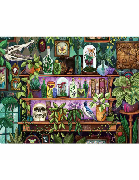 RVSPA01416,Ravensburger - Puzzle raftul vrajitoarei 2000 piese