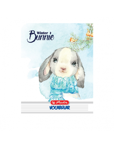 9481040,Vocabular A6 Herlitz, 24 File, Diverse Motive