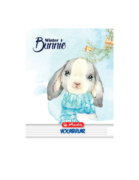 9481040,Vocabular A6 Herlitz, 24 File, Diverse Motive