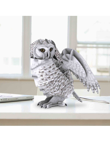 CUDS1079h,CUBICFUN - PUZZLE 3D BUFNITA POLARA 62 PIESE