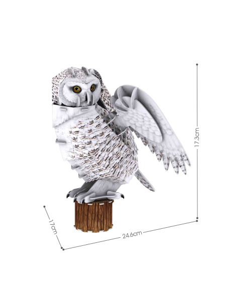 CUDS1079h,CUBICFUN - PUZZLE 3D BUFNITA POLARA 62 PIESE