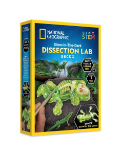NG23036,National Geographic - Kit creativ laborator de disectie soparla