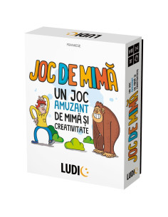 HE59674,Headu Ludic joc de mima in romana