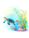 FC114617,Creioane colorate aquarelle Faber-Castell goldfaber tropical collection, 24 culori