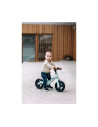BN-81309,Bicicleta fara pedale, FreeON, Be Cool Mini, Cu ghidon si sa reglabile, Roti din EVA, Pana in 30 Kg, Roti 8 inch, 12 lu