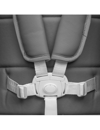 BN-56307,Scaun de masa 2 in 1, New Baby, Smart, Poate fi utilizat si ca leagan pentru copii, Cu telecomanda, Spatar reglabil in 