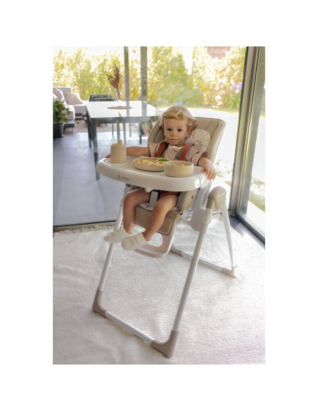 BN-8420421085806,Scaun de masa si Balansoar, Jane, Mila 2 in 1, Transformabil, Multifunctional, Cu husa din imitatie piele, 0 lu