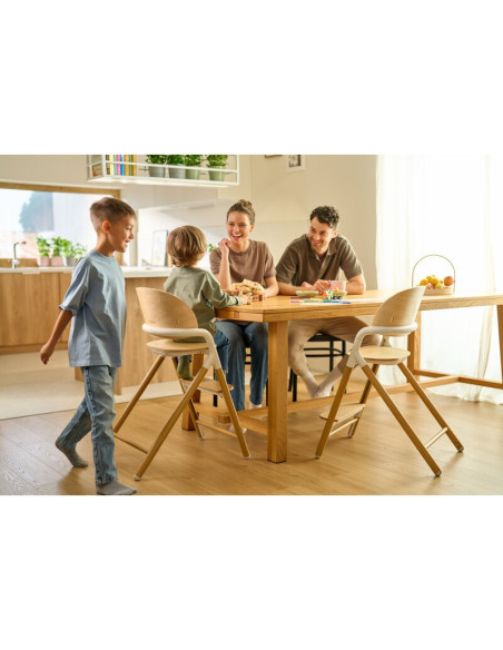 BN-LO-CELIA_BLACK_WOOD,Scaun de masa multifunctional Celia, Lionelo, Din lemn de fag, 6 luni- adult, Reglabil pe inaltime, Husa 