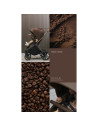 BN-LO-MIKA_PLUS_3IN1_MOCHA_MOUSSE,Carucior 3 in 1, Lionelo, Mika Plus, Cadru din aluminiu, Cu landou intarit si salteluta moale,