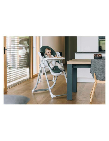 BN-82436,Scaun de masa si balansoar, FreeON, Oli Deluxe, 2 in 1, Transformabil, Multifunctional, Cu melodii de leagan, 0 luni+, 