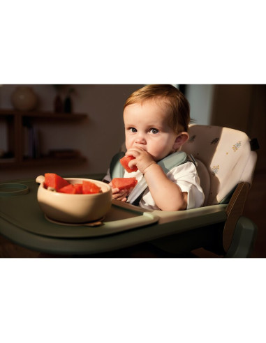 BN-8420421093177,Scaun de masa multifunctional Noah, Jane, De la 6 luni la adult, Din lemn fag, Greutate maxima 100 Kg, Iris