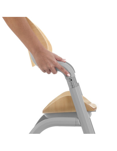 BN-8420421093177,Scaun de masa multifunctional Noah, Jane, De la 6 luni la adult, Din lemn fag, Greutate maxima 100 Kg, Iris