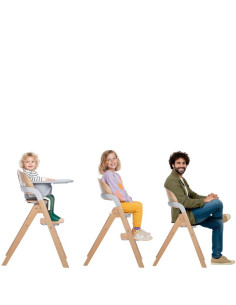 BN-8420421094082,Scaun de masa multifunctional pliabil, Jane, Forest, De la 6 luni la adult, Din lemn fag, Greutate maxima 100 K 2