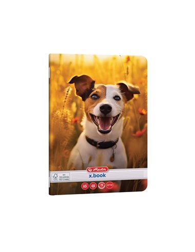 Caiet Herlitz A5, 48 file, 70g/mp, dictando, Motiv Cool dog