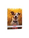 Caiet Herlitz A5, 48 file, 70g/mp, dictando, Motiv Cool dog