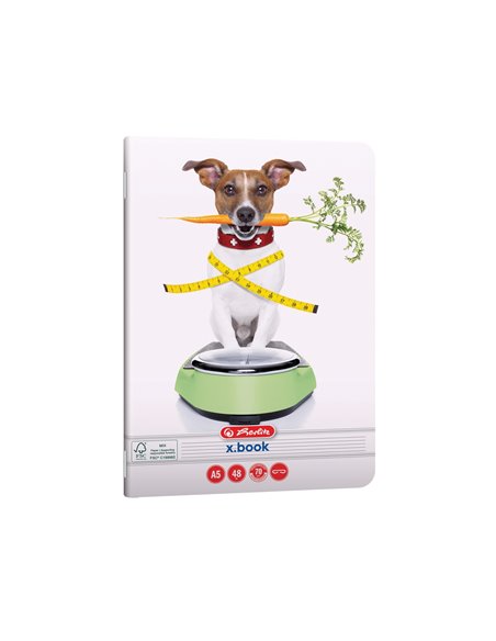 Set 10 Caiete Herlitz A5, 48 file, 70g/mp,  dictando, Motiv Cool dog