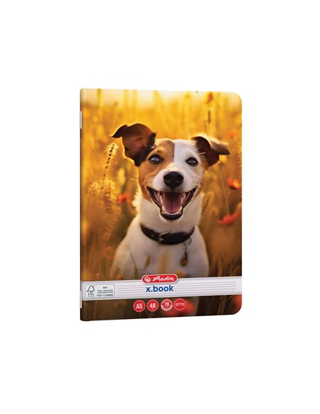 Set 10 Caiete Herlitz A5, 48 file, 70g/mp,  dictando, Motiv Cool dog