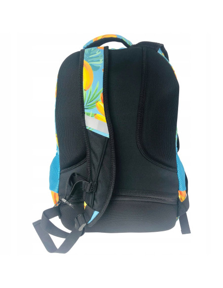 FD1,Ghiozdan Strigo Fruits Daily, Ergonomic FD1, 31 L, 39 x 25 x 14 cm