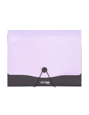 SF050,Mapa Strigo PP, A4, 13 compartimente, inchidere cu elastic, clips metalic, mov SF050