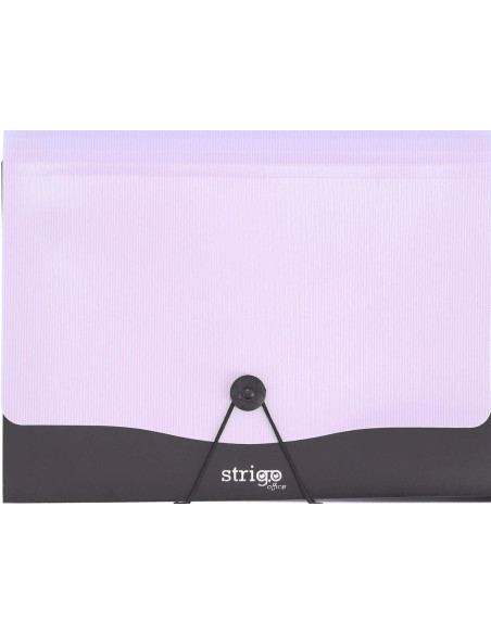 SF050,Mapa Strigo PP, A4, 13 compartimente, inchidere cu elastic, clips metalic, mov SF050