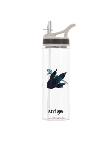 SSC270,Sticla apa Strigo SSC270, 600 ml, Dinosaur Colection