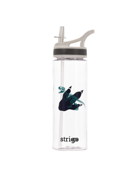 SSC270,Sticla apa Strigo SSC270, 600 ml, Dinosaur Colection