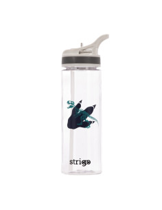 SSC270,Sticla apa Strigo SSC270, 600 ml, Dinosaur Colection 2