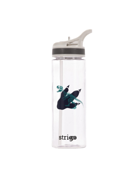 SSC270,Sticla apa Strigo SSC270, 600 ml, Dinosaur Colection
