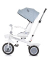 TRKMRT02403AS,Tricicleta Chipolino Marathon ash grey