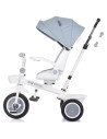 TRKMRT02403AS,Tricicleta Chipolino Marathon ash grey