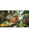 PM71717,Playmobil - Jucarie de rol Cursa cu Banana