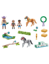 PM71495,Playmobil-TURNEUL CU PONEI