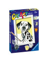 RVSPBN23716,Ravensburger - CreArt pictura pe numere pentru copii caine dalmatian
