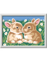 RVSPBN23563,Ravensburger - CreArt pictura pe numere pentru copii iepurasi printre margarete