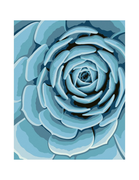 RVSPBN23610,Ravensburger - CreArt pictura pe numere pentru adulti planta suculenta albastra