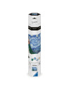 RVSPBN23915,Ravensburger - CreArt pictura pe numere pentru adulti Tablou Canvas Van Gogh noapte instelata