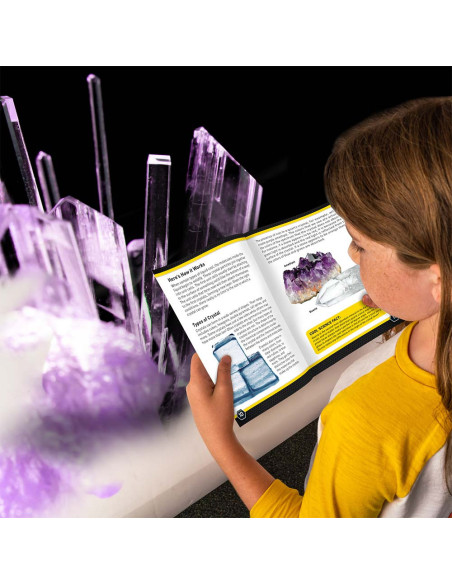 NG29684,National Geographic - Kit Creativ Laborator De Crestere Cristale Violet
