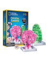 NG21025,National Geographic - Kit Creativ Gradina De Cristale