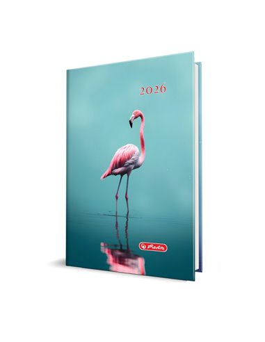Agenda datata A5 Herlitz, 352 pagini,...