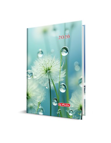 Agenda datata A5 Herlitz, 352 pagini,...