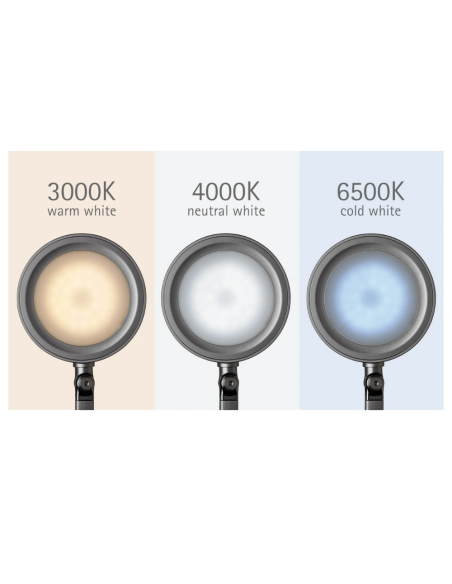 Lampa LED de birou, MAUL Grace Colour Vario - argintie