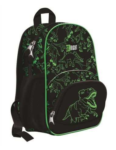 MW668005,Ghiozdan gradinita BP-70 St.Right Majewski, motiv Reflective T-Rex